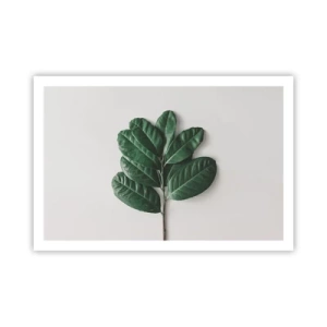 Poster - Drawing of Nature Itself - 91x61 cm