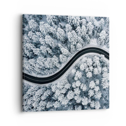 Canvas picture - Through Wintery Forest - 40x40 cm
