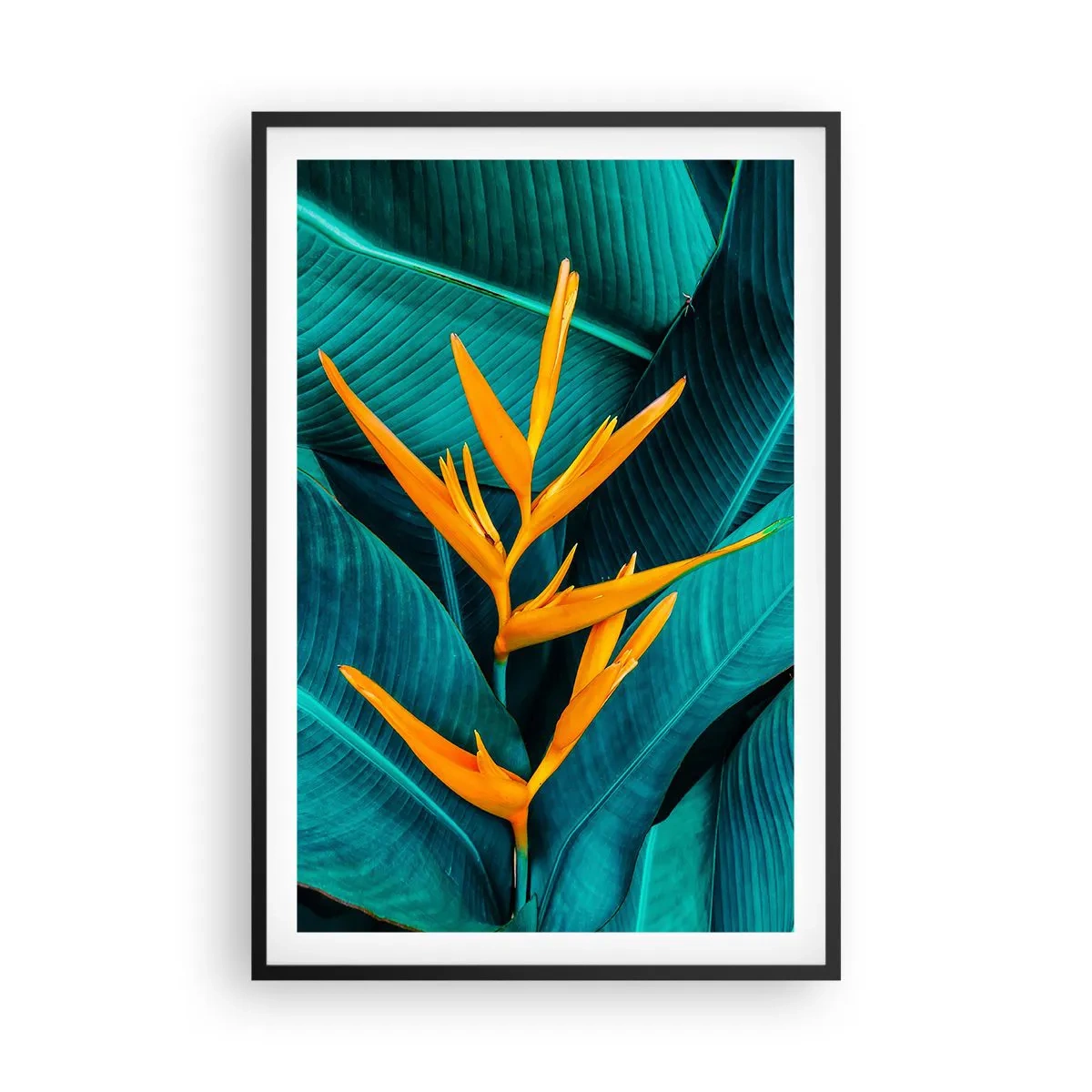 Poster in black frame - Flower of Eden - 61x91 cm