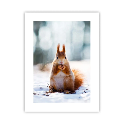 Poster - What Are You Looking at? - 30x40 cm