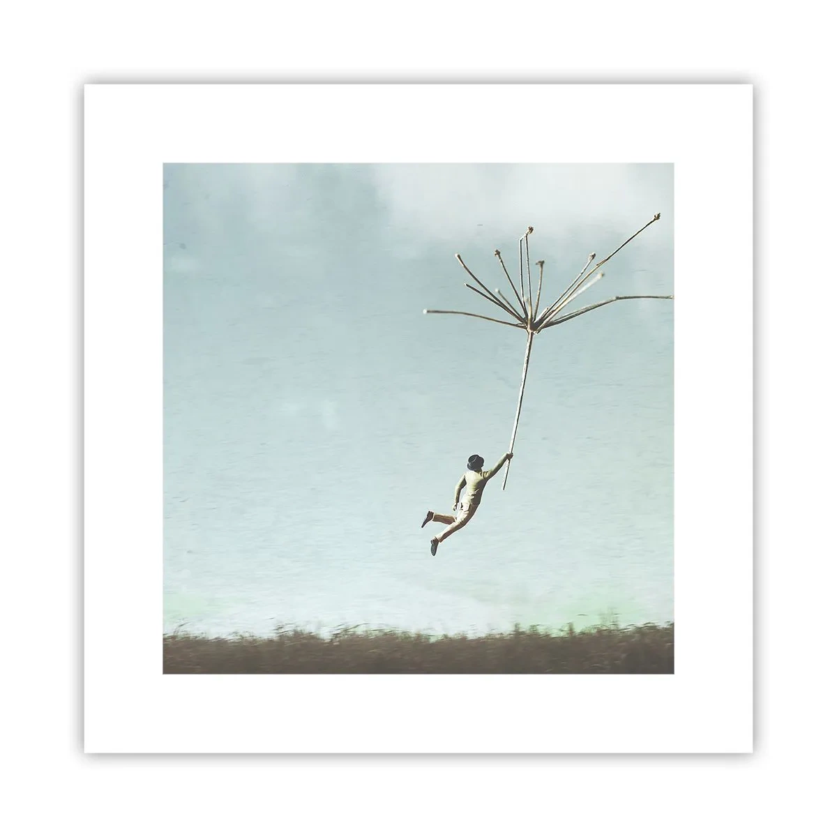 Poster - Kites, Dandelions, Wind - 30x30 cm