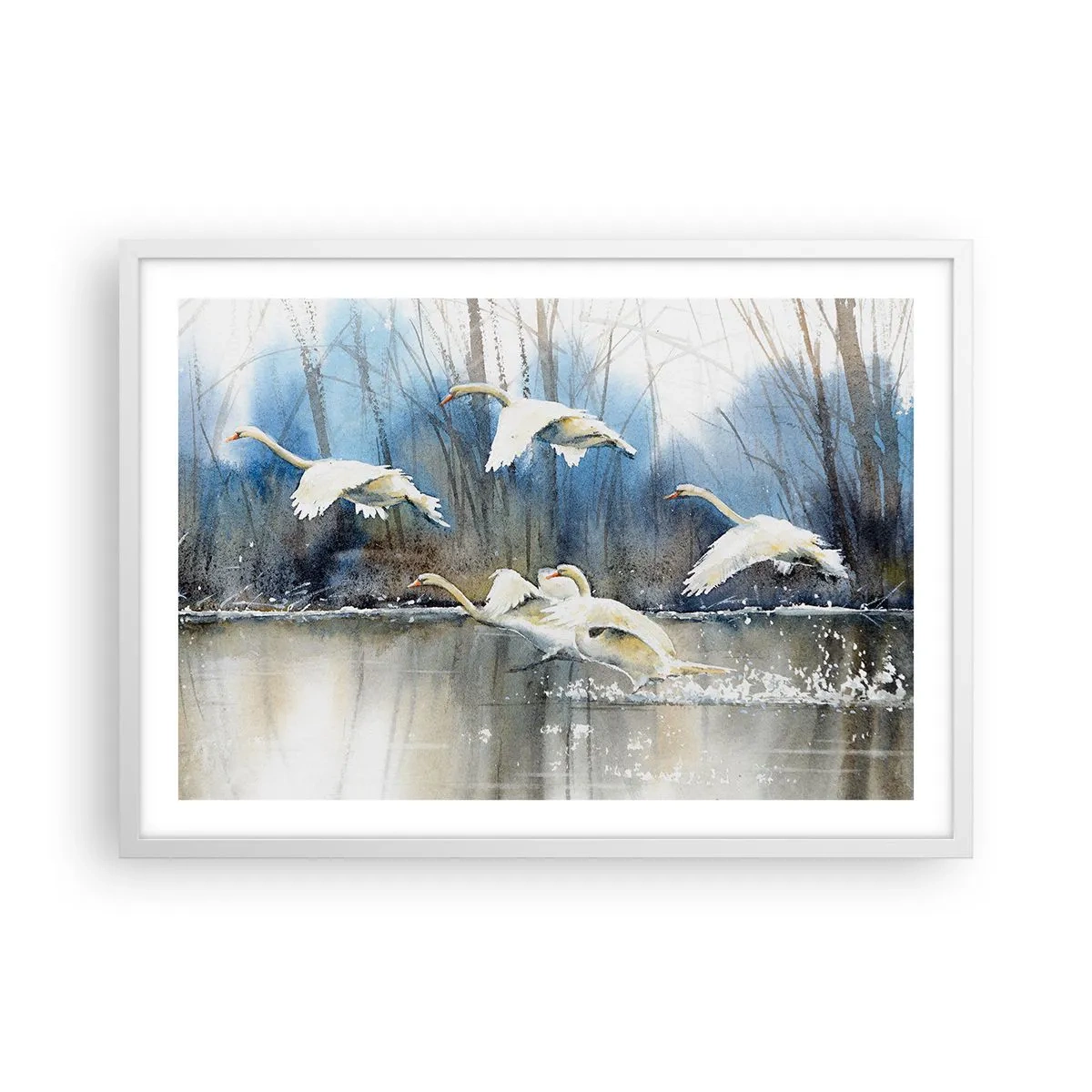 Poster in white frmae - Like in a Fairy Tale about Wild Swans - 70x50 cm