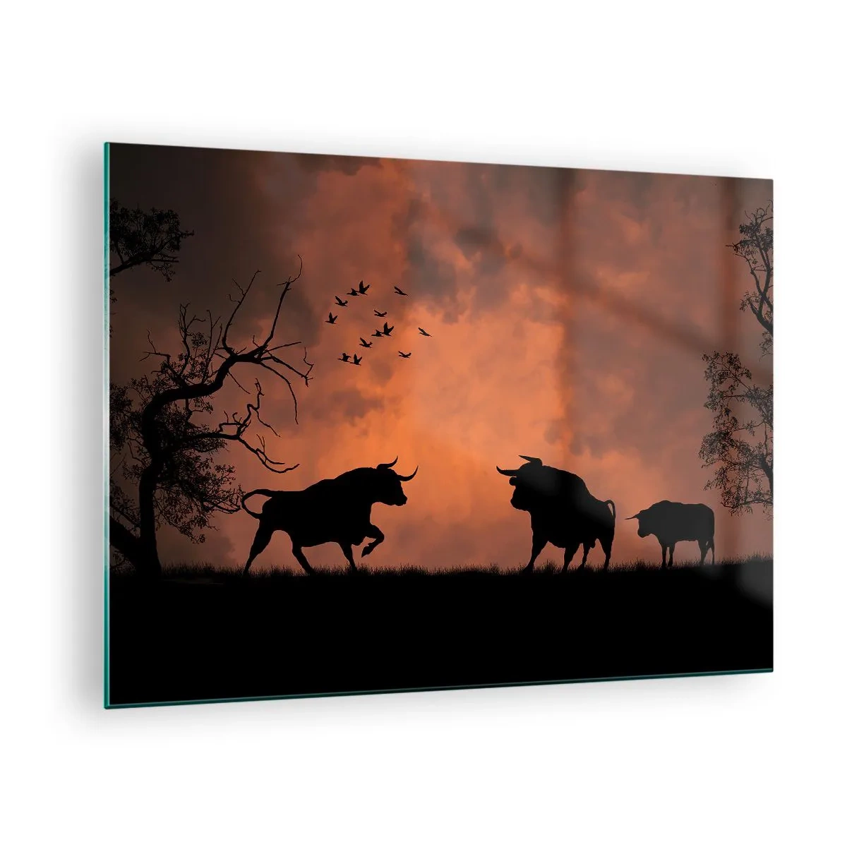 Glass picture - Silhouettes of bulls against an orange sky at dusk - 70x50cm - Dramatic Show of Nature - Modern wall decoration for the living room and bedroom ARTTOR