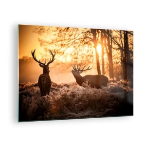 Glass picture - Two deer in a forest scene at sunrise - 70x50cm - Hunter's Dream - Modern wall decoration for the living room and bedroom ARTTOR