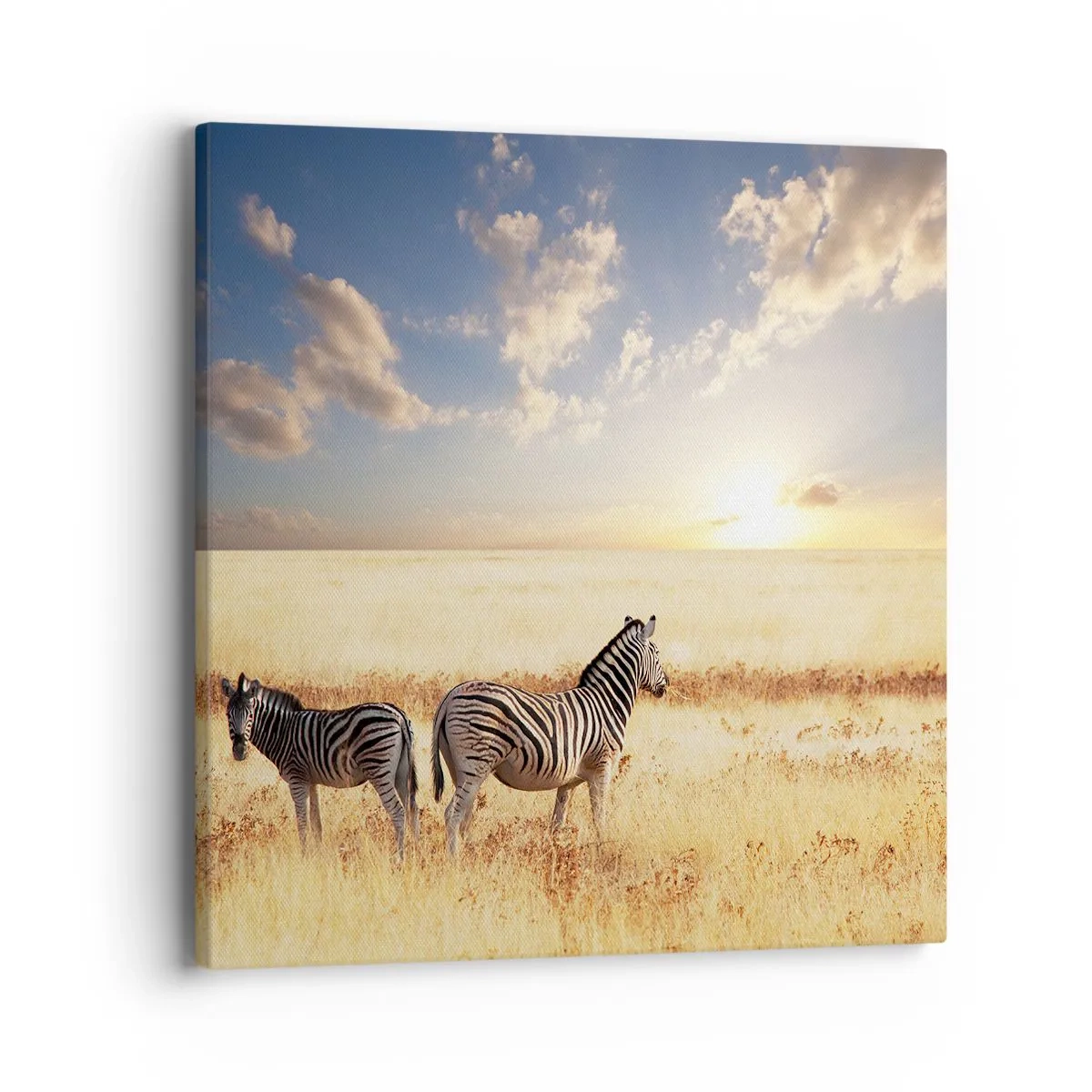 Canvas picture - Go away, Don't Disturb - 40x40 cm