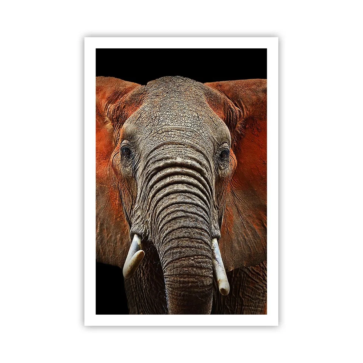 Poster - I am Wild, and You? - 61x91 cm