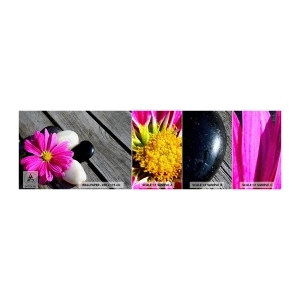 Photo Wallpaper Sample Standard Eco - Rest on a Pier - Flower, Stones, Wooden Bridge - 100x30 cm