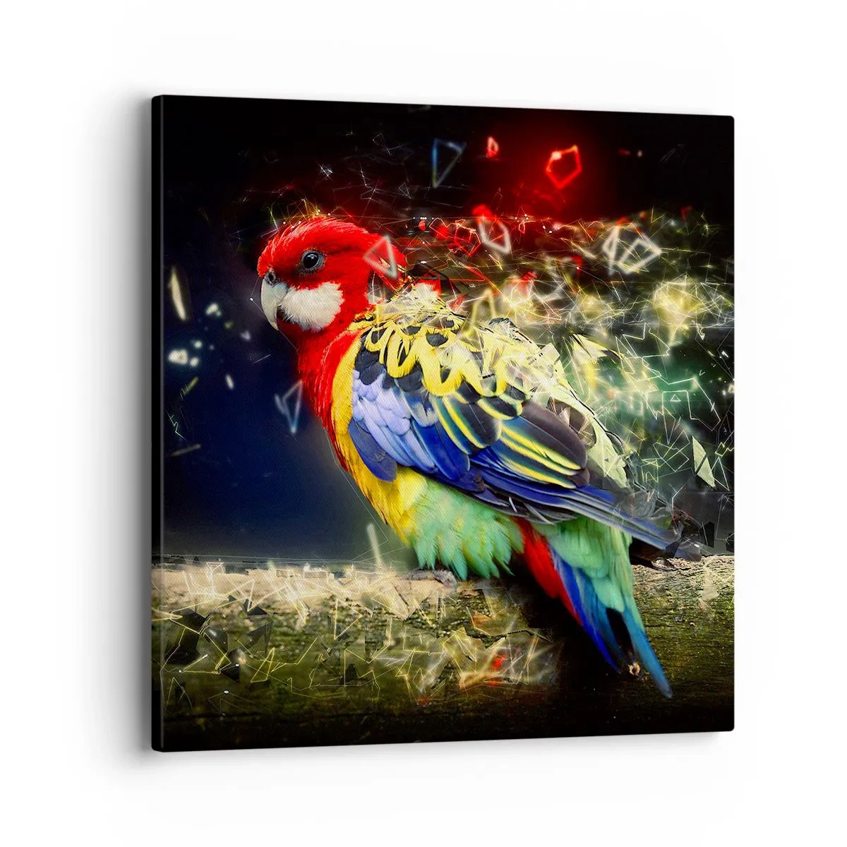 Canvas picture - Messenger of Light - 40x40 cm