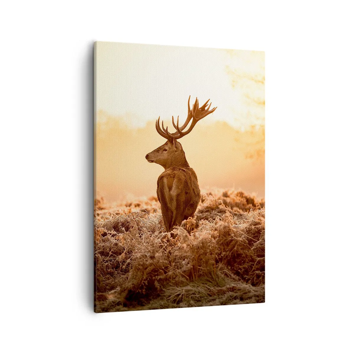 Canvas picture - Master of the Moor - 50x70 cm