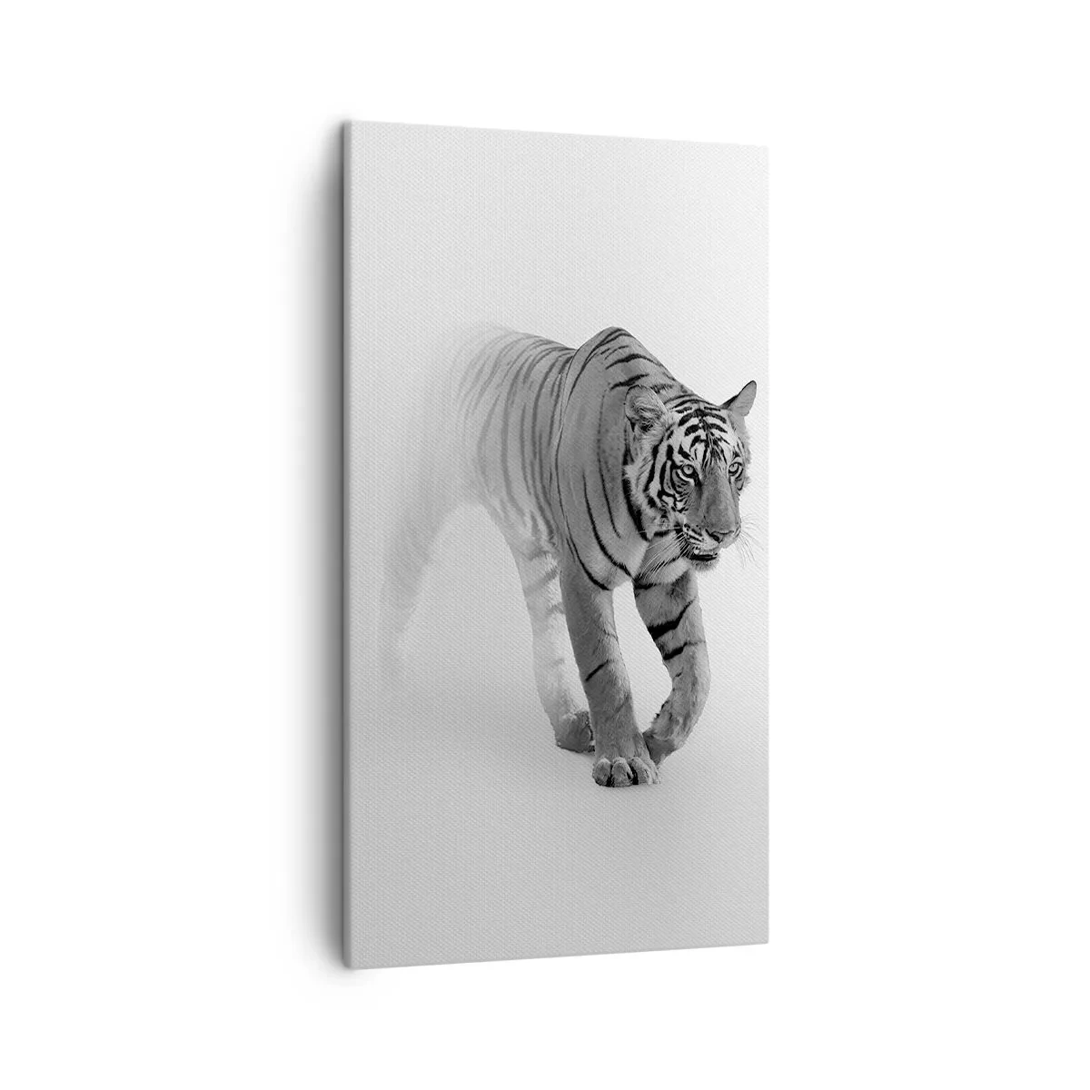 Canvas picture - Crouching in Fog - 45x80 cm