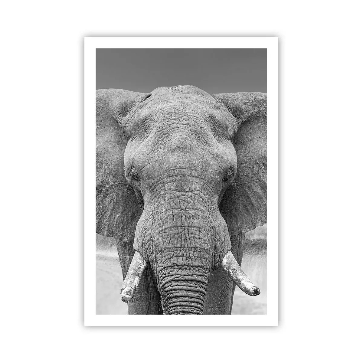 Poster - Welcome to My World - 61x91 cm