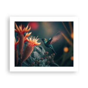 Poster - Really Colourful Life - 50x40 cm