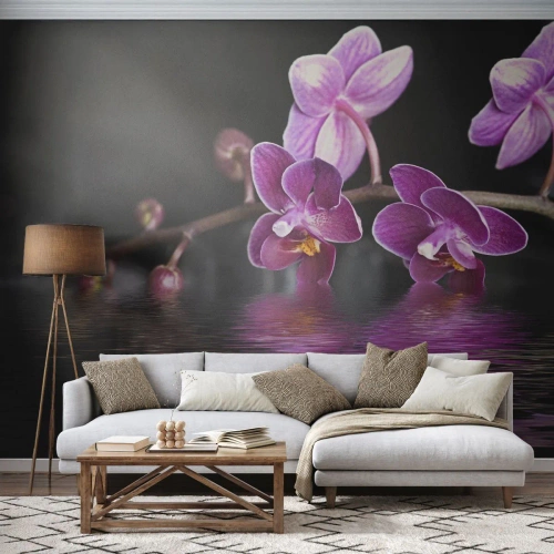 Photo Wallpaper Standard Eco - Purple orchids over a water surface on a black background - 100x70cm - Lilac Reflection of Beauty - Modern wall decoration for the living room and bedroom ARTTOR