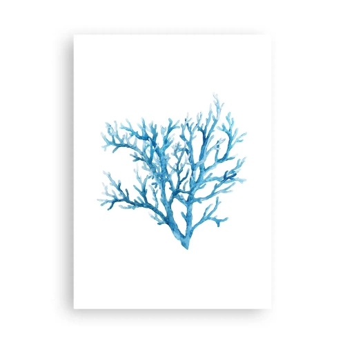 Poster - Sea Filigree - 50x70 cm