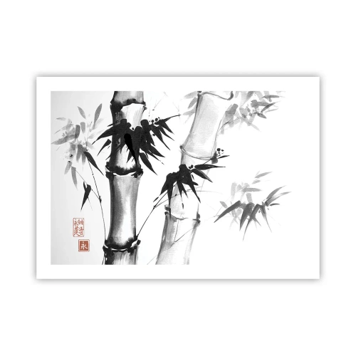 Poster - Close-up to the Orient - 70x50 cm