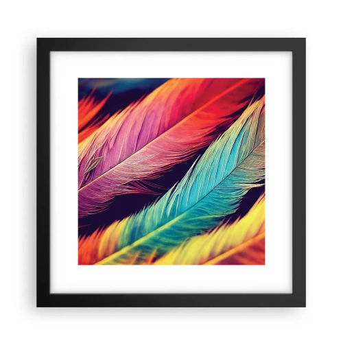 Poster in black frame - Feathered Rainbow - 30x30 cm