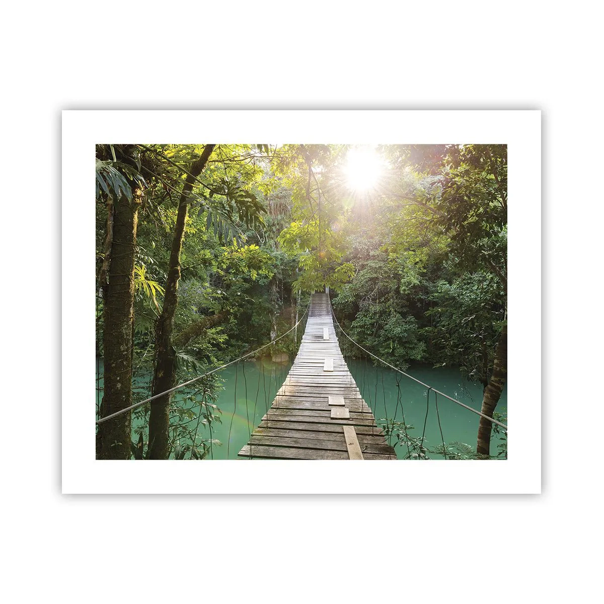 Poster - Azure Water in Azure Forest - 50x40 cm