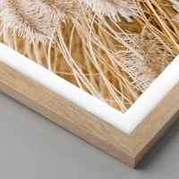 Light Oak