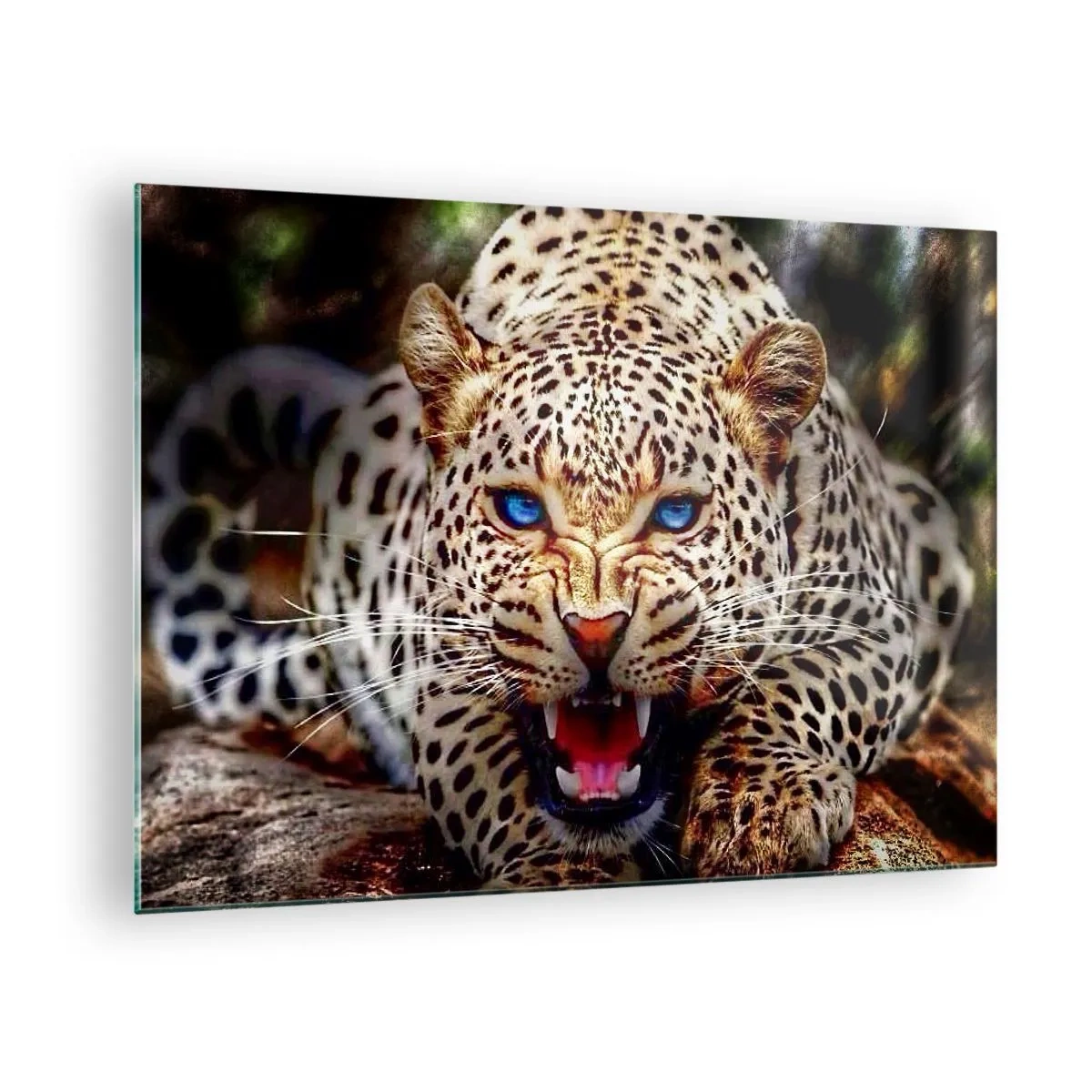 Glass picture - A fierce blue-eyed leopard in the wild - 70x50cm - Angry but Still Beautiful - Modern wall decoration for the living room and bedroom ARTTOR