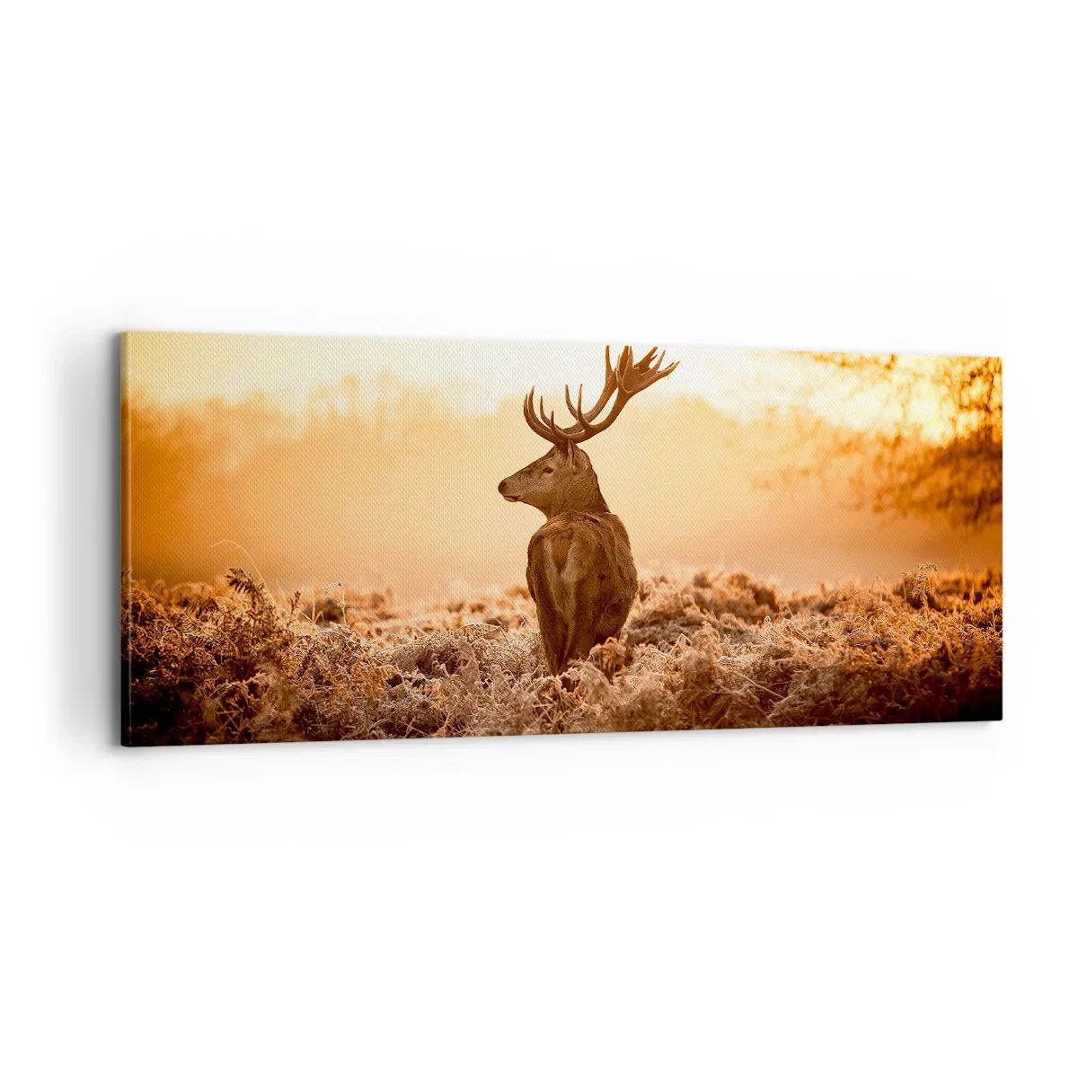 Canvas picture - Master of the Moor - 100x40 cm