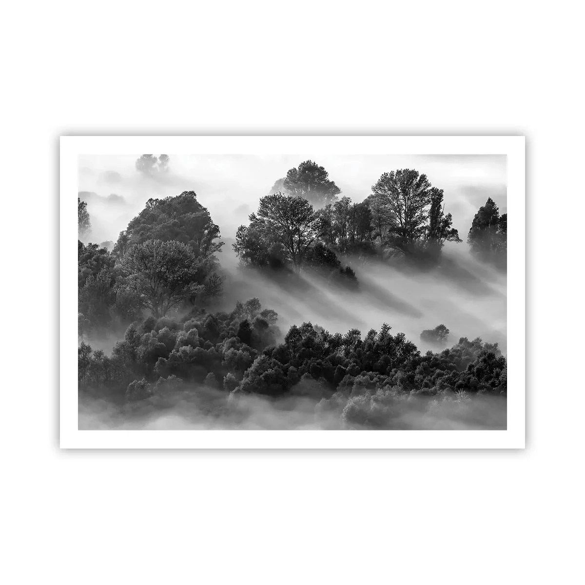Poster - Rising from a Sleep - 91x61 cm