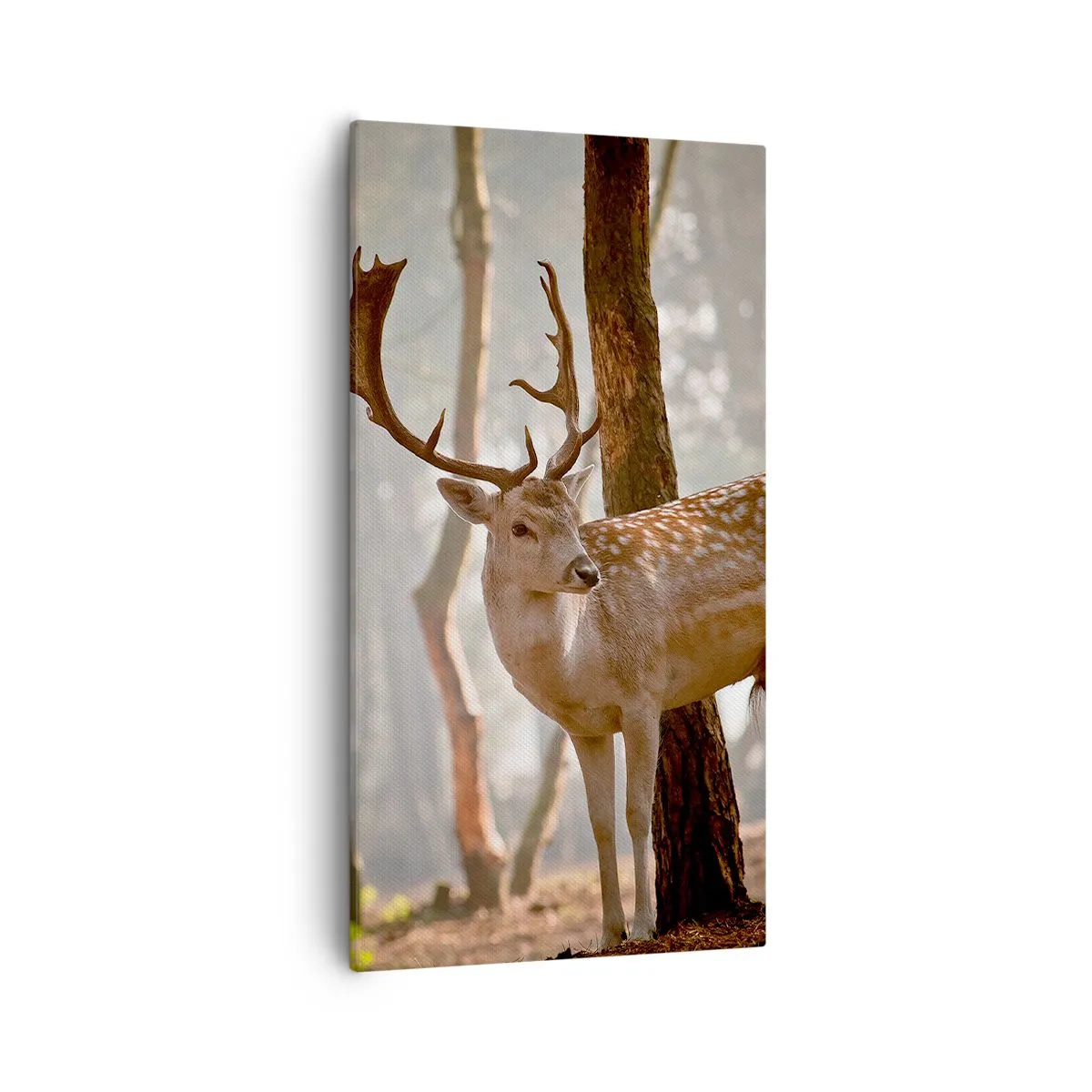 Canvas picture - Light of Youth - 55x100 cm