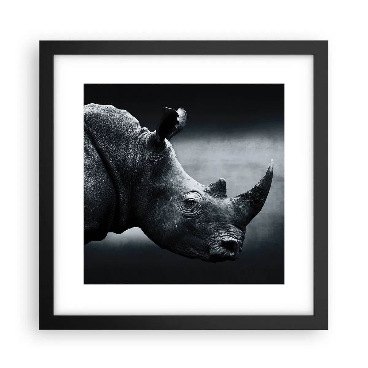 Poster in black frame - Right Profile - 30x30 cm