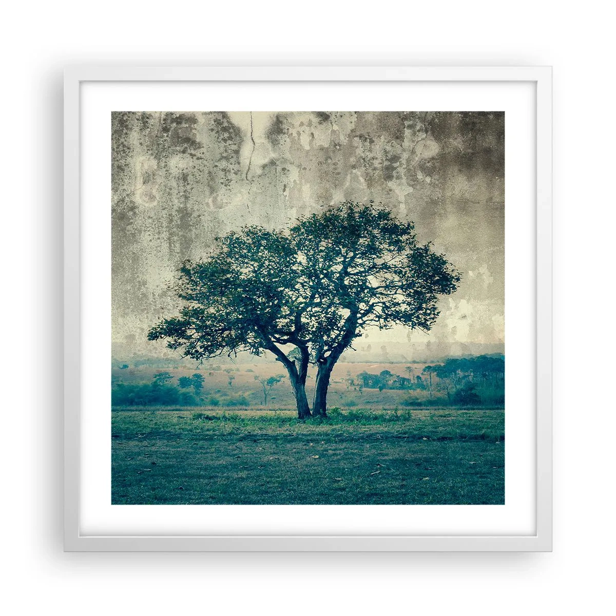 Poster in white frmae - Apple Tree in Blue? - 50x50 cm