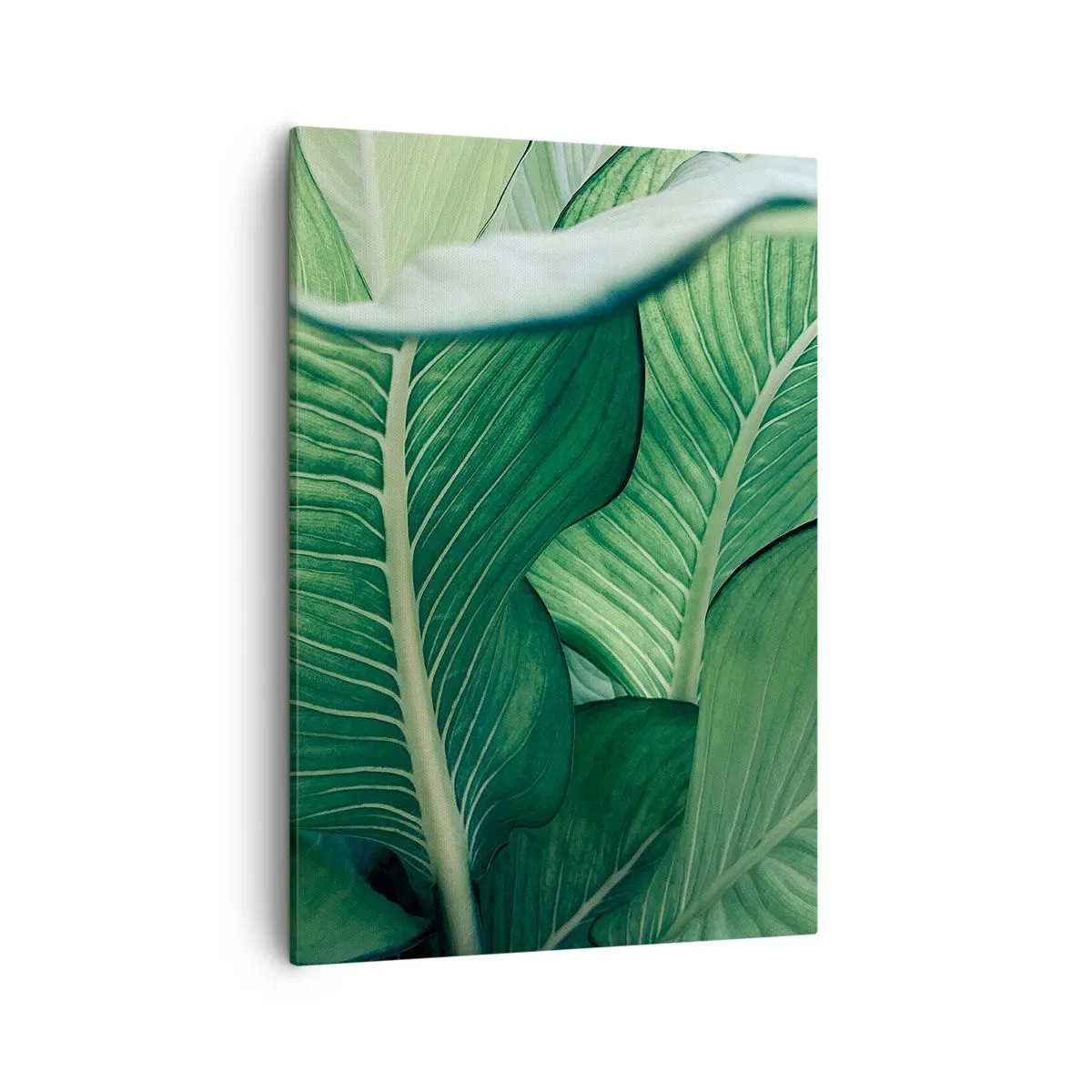 Canvas picture - Life in Intense Green Colour - 50x70 cm