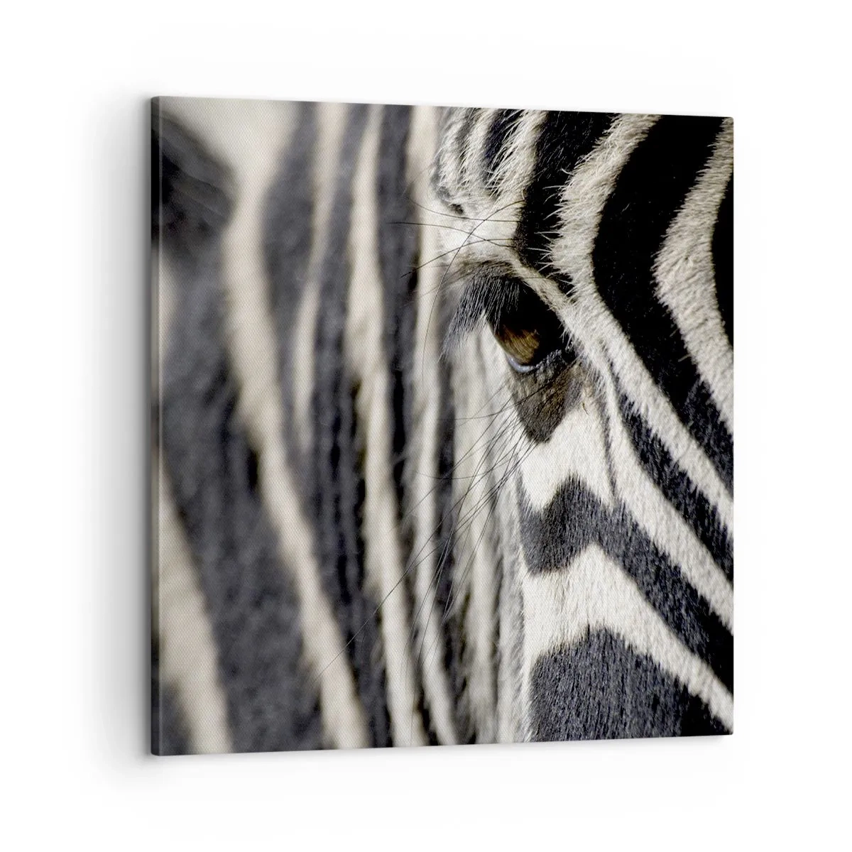 Canvas picture - Striped Portrait - 60x60 cm