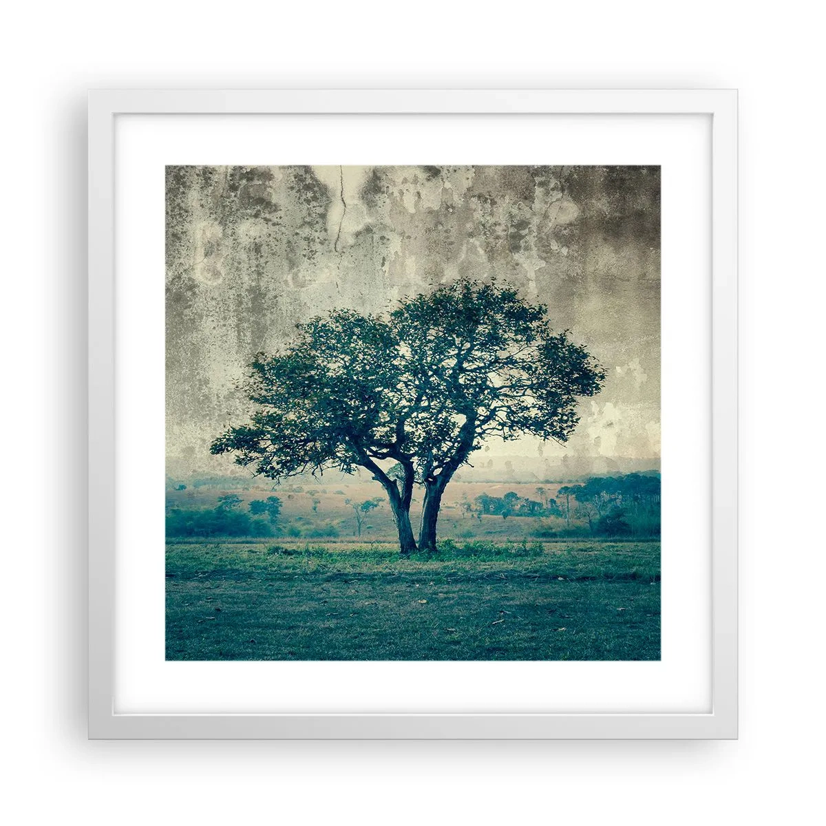 Poster in white frmae - Apple Tree in Blue? - 40x40 cm