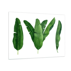 Glass picture - Four green banana leaves on a white background - 70x50cm - Green Symmetry - Modern wall decoration for the living room and bedroom ARTTOR
