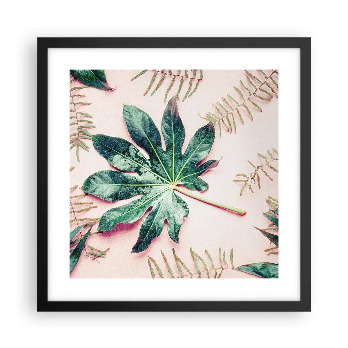 Poster in black frame - Study in Green on Pink Background - 40x40 cm