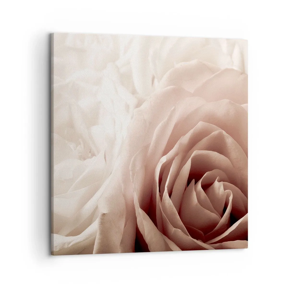 Canvas picture - In the Heart of a Rose - 50x50 cm