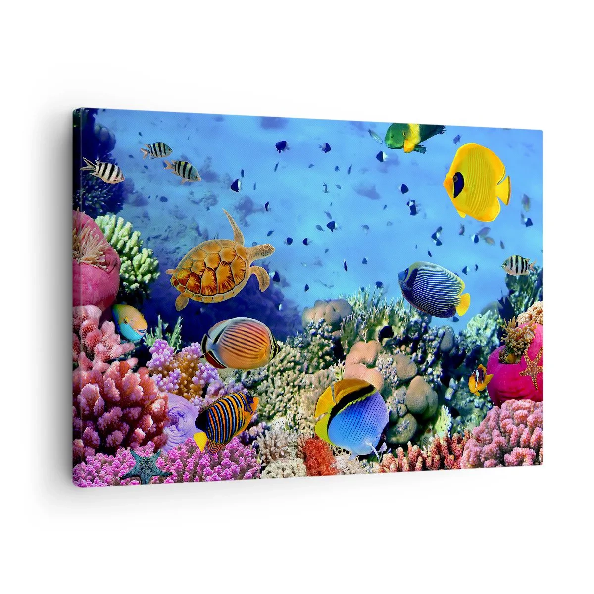 Canvas picture - Coral reef with colorful fish and a sea turtle - 70x50cm - What Do We Know about Life? - Modern wall decoration for the living room and bedroom ARTTOR