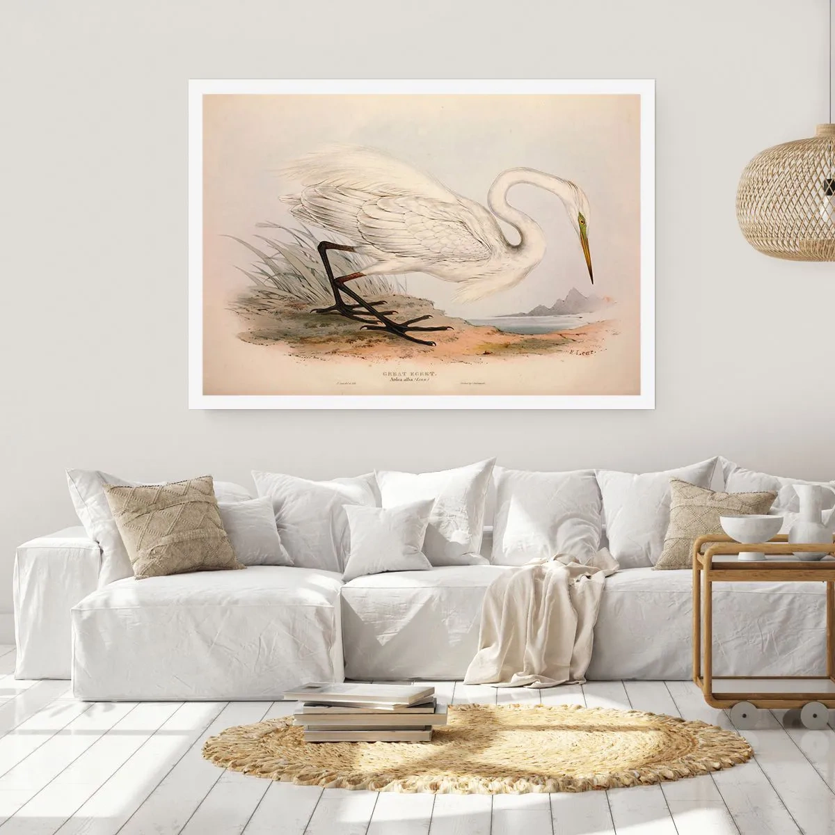 Poster - Lady on the Marsh - 50x40 cm