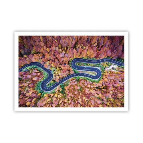 Poster - Winding Path through a Forest - 100x70 cm