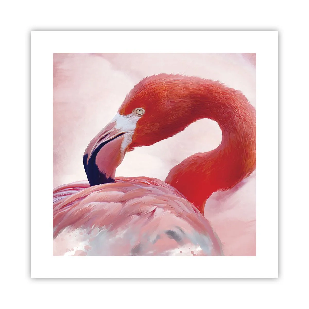 Poster - Bird Look - 40x40 cm