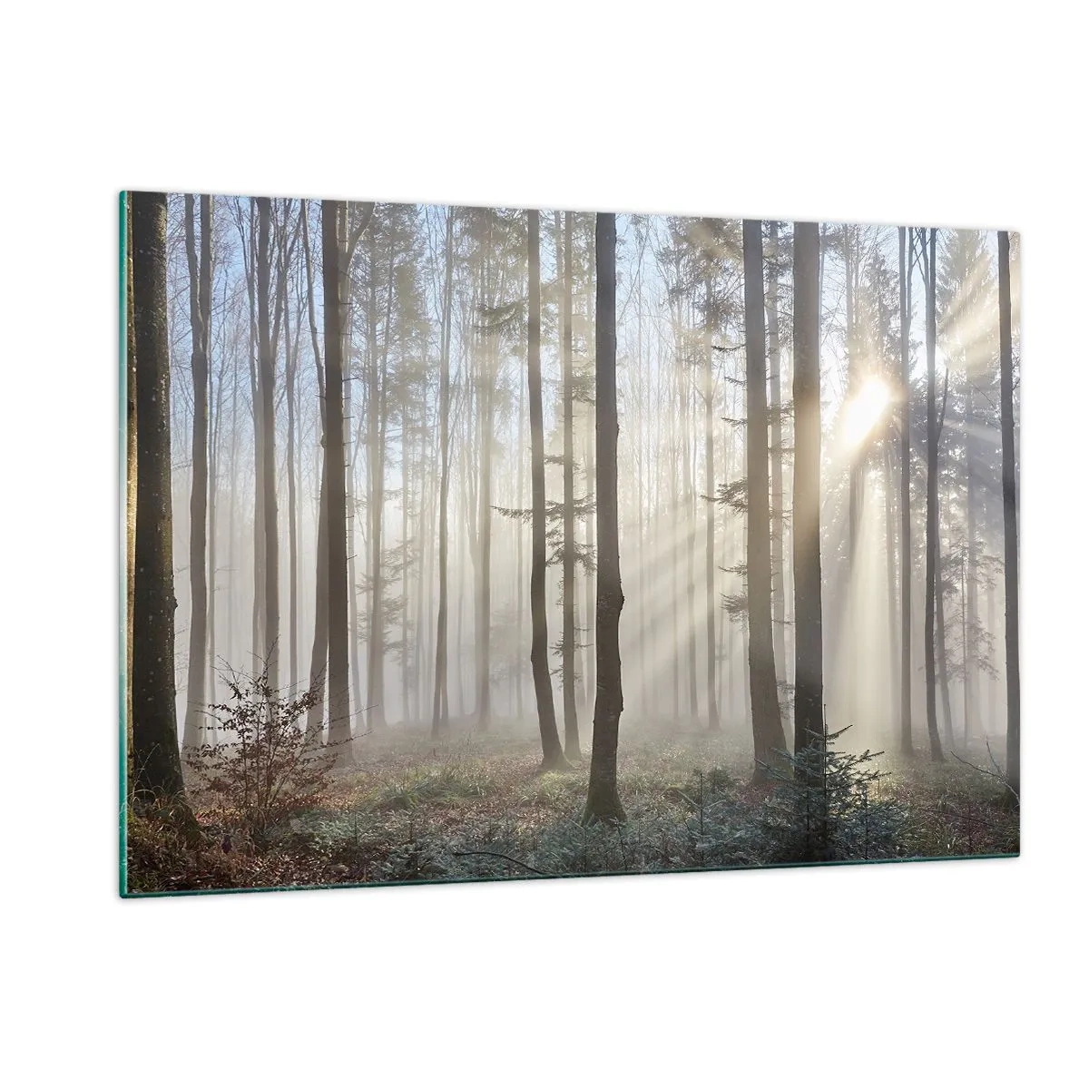 Glass picture - Fog Has Woken up Too - 120x80 cm