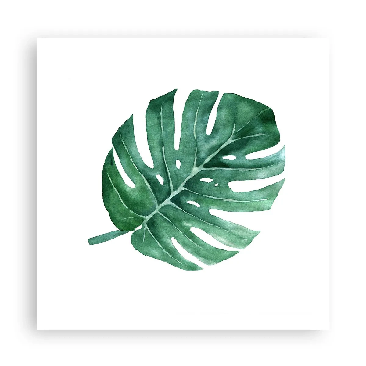 Poster - Green Concept - 60x60 cm