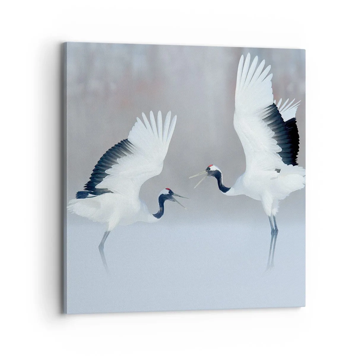 Canvas picture - Dance in the Fog - 70x70 cm