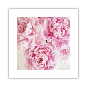 Poster - In Pink  Splendour - 30x30 cm