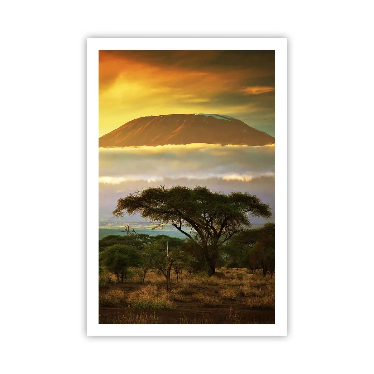 Poster - Traveller's Dream - 61x91 cm