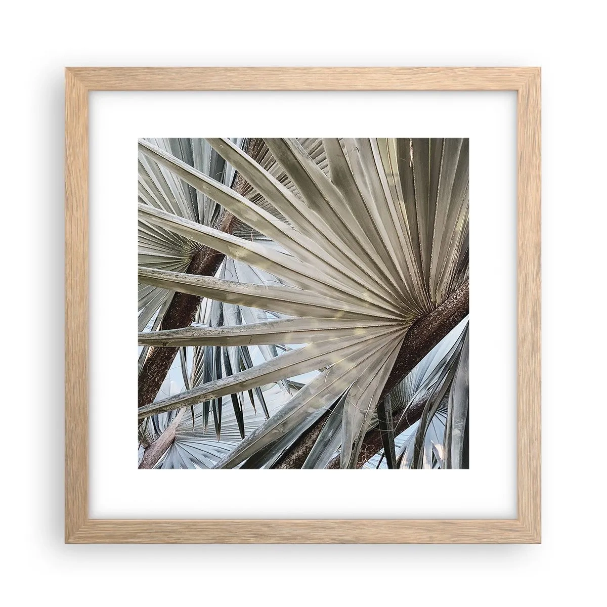 Poster in light oak frame - Fans in tropics - 30x30 cm