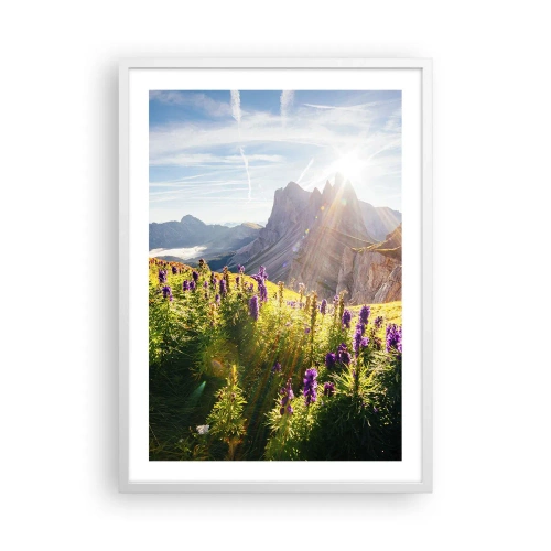Poster in white frmae - Secret Life of Herbs - 50x70 cm