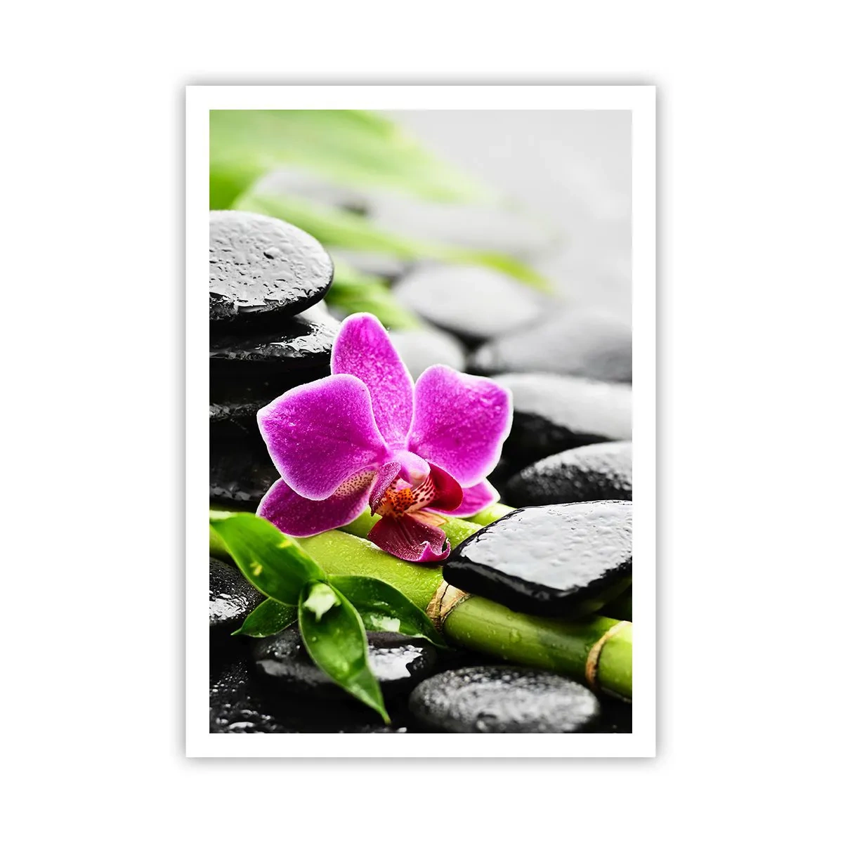 Poster - In a Peaceful Balance - 70x100 cm