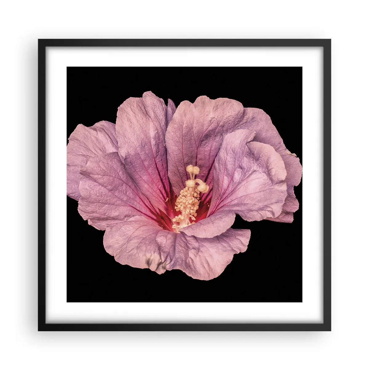 Poster in black frame - Straight from the Heart - 50x50 cm