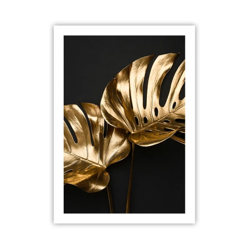 Poster - Tresaures of Nature - 50x70 cm