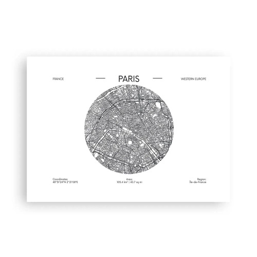 Poster - Anatomy of Paris - 70x50 cm