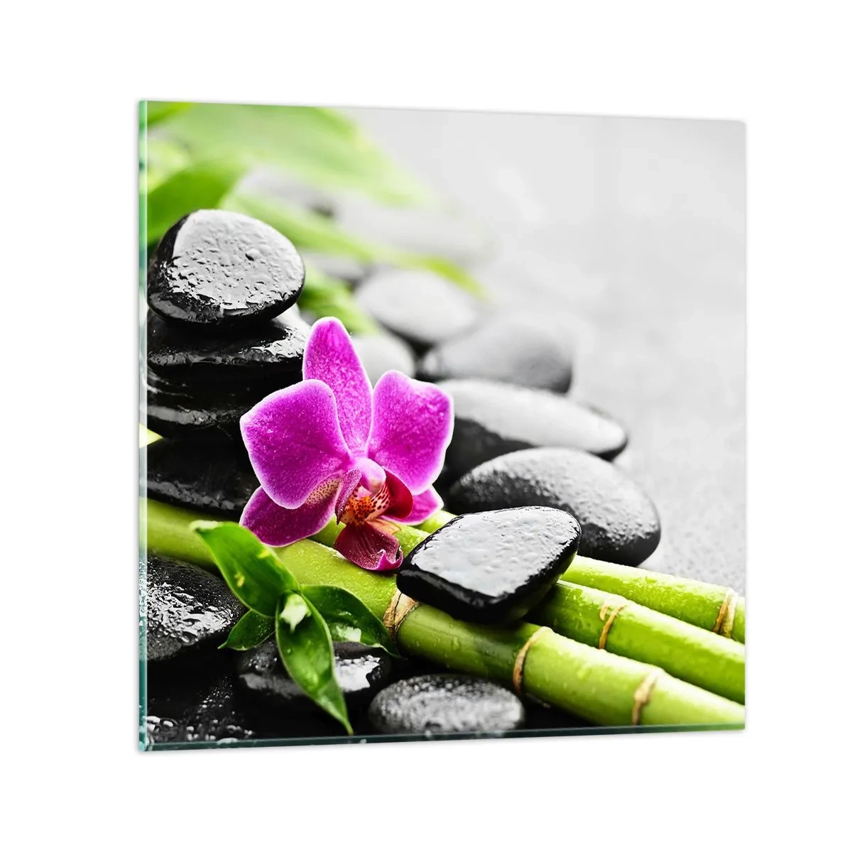 Glass picture - In a Peaceful Balance - 50x50 cm